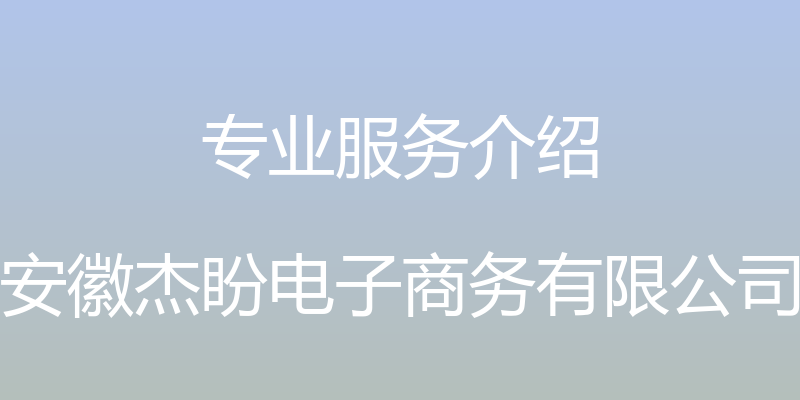 专业服务介绍 - 安徽杰盼电子商务有限公司