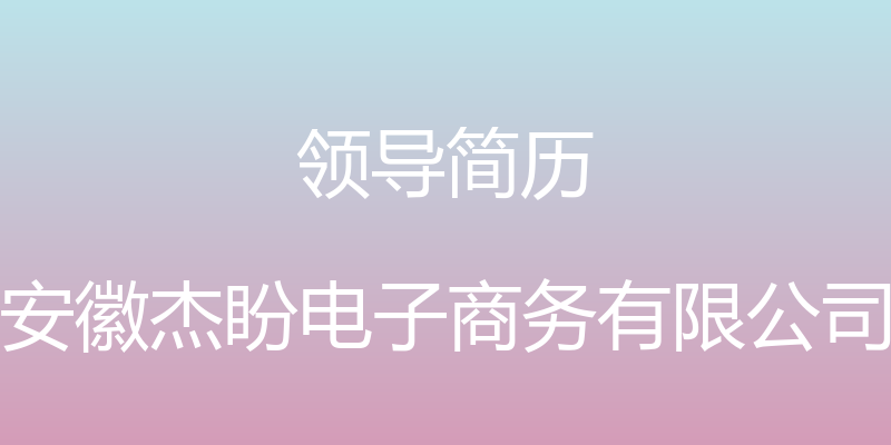 领导简历 - 安徽杰盼电子商务有限公司