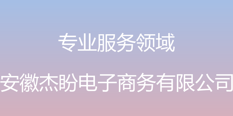 专业服务领域 - 安徽杰盼电子商务有限公司