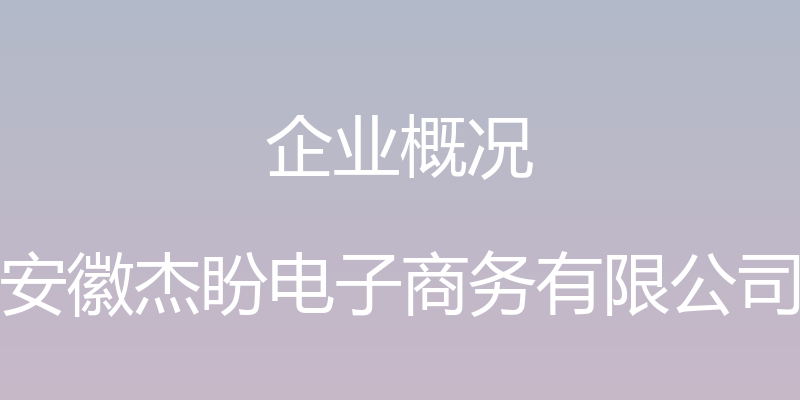 企业概况 - 安徽杰盼电子商务有限公司