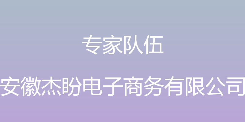 专家队伍 - 安徽杰盼电子商务有限公司